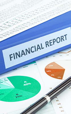 Internal Financial Statement and Management Reporting Preparation